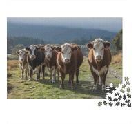 Cows Standing Grassland Jigsaws 1000 Pieces for Adults with No Two Pieces Alike Jigsaws 1000 Pieces for Brain Training And Stress Relief Toys for Adults 70x50cm/1000pcs