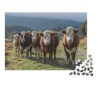 Cows Standing Grassland Recycled Cardboard 1000 Piece Jigsaw Herd Cows Puzzles for Kids with Attention-Deficit Issues 52x38cm/1000pcs