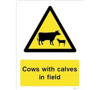 Cows With Calves In Field - Countryside & Agriculture Signage - Durable, High-Visibility UK Compliance Sign (A5 200x150mm Rigid PVC)