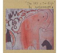 Coxon,Graham - The Sky Is Too High