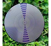 COYEUX MWO EMFS Polarizing Disc, Multi Wave Oscillator Tesla Coil, 24 Circles, Water Energisation and Harmonic Balancing, Copper+Base Resin, for Yoga Room, Meditation