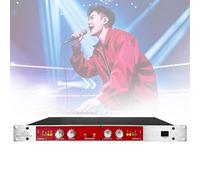 COYEUX Professional Audio Processor, 882I Autotune Vocal Processor, Sound Exciter with Treble/Bass Frequency Adjustment, Pagbutihin Ang Layering Ng Tunog, for House Karaoke, Stage Performance