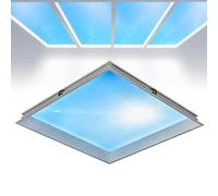 COYEUX Smart Blue Sky Light Ceiling Lamp, Smart Blue Sky Light, Recessed, Adjustable Color Temperature, Simulate Daylight Rhythms, for Basement, Living Room and Hallway