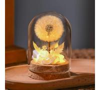 Coyoohouse Real Dandelion Preserved Lamp with LED Light - Handmade Transparent Glass Cover Tabletop Decor for Mom’s Birthday, and Home Accents (White, LED)