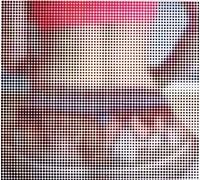 Coyote Clean Up - 2 Hot 2 Wait -Digi-