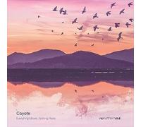 COYOTE - EVERYTHING MOVES NOTHING RESTS NEW VINYL RECORD