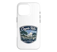 Coyote Hills California Scenic Badge Design Case for iPhone 16 Pro