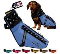 CoyoteVest Dog Harness Protection Vest, Reflective Dog Accessories with Spikes to Shield Your Pet from Raptor and Animal Attacks, Proudly Made in America (Small, Royal Blue)