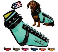 CoyoteVest Dog Harness Protection Vest, Reflective Dog Accessories with Spikes to Shield Your Pet from Raptor and Animal Attacks, Proudly Made in America (X-Small, Turquoise)