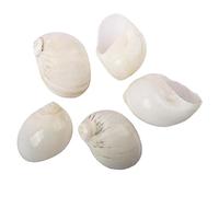 COYOUCO Hermit Crab Shells Hermit Crab Supplies Hermit Crab Replacement Special Shell Natural Conch Shell for DIY Fish Tank Aquarium Decoration,White,S