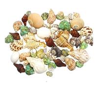 COYOUCO Hermit Crab Shells Hermit Crab Supplies Small To Medium Hermit Crab Replacement Shell Natural Conch Shell DIY Fish Tank Aquarium Decoration,D