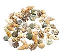 COYOUCO Hermit Crab Shells Hermit Crab Supplies Small To Medium Hermit Crab Replacement Shell Natural Conch Shell DIY Fish Tank Aquarium Decoration,A