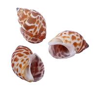 COYOUCO Hermit Crab Shells Small To Medium Hermit Crab Shells Hermit Crab Supplies Natural Conch Shell for Hermit Replacement Shells Fish Tank Aquarium Decor,B
