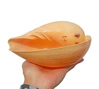 COYOUCO Large Seashells, Natural Ocean Conch 4-7 Inches Shells Perfect for Beach Theme Party, Home Decorations, DIY Crafts, Fish Tank, Air Plant,B