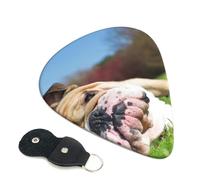 Cozimangoe 6-Pack Guitar Picks with Leather Holder, 0.71mm Medium Gauge ABS Plectrums for Acoustic, Electric, Bass Guitars and Ukulele, English BullDogs Tired Dogs Lawn Pets English