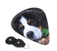 Cozimangoe 6-Pack Guitar Picks with Leather Holder, 0.71mm Medium Gauge ABS Plectrums for Acoustic, Electric, Bass Guitars and Ukulele, Lovely Bernese Mountain Dog