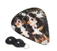 Cozimangoe 6-Pack Guitar Picks with Leather Holder, 0.71mm Medium Gauge ABS Plectrums for Acoustic, Electric, Bass Guitars and Ukulele, Funny Bernese Mountain Dog