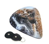 Cozimangoe 6-Pack Guitar Picks with Leather Holder, 0.71mm Medium Gauge ABS Plectrums for Acoustic, Electric, Bass Guitars and Ukulele, Saint Bernard Dog