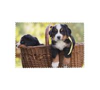 Cozimangoe Bernese Mountain Dog Puppies, Placemats 4 Set, 12x18 Inch Heat Resistant Washable Place Mats for Table Scalloped Edges Decorative, Kitchen Dining Wedding