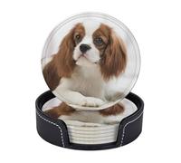 Cozimangoe Coasters 6 Pcs Set, 3.9in PU Leather Drink Coaster with Holder Insulation Easy Clean, Home Coffee Table Office Bar, Personalized Cavalier King Charles Spaniel Brown Spaniel