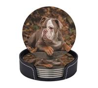 Cozimangoe Coasters 6 Pcs Set, 3.9in PU Leather Drink Coaster with Holder Insulation Easy Clean, Home Coffee Table Office Bar, Personalized American Bulldog Puppy