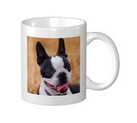 Cozimangoe Coffee Mug, 11OZ White Ceramic Resistant Durable Glossy for Women Men Mothers Day Gift Offices Home, Personalized Boston Terrier Bokeh Dogs Pets Boston Terrier