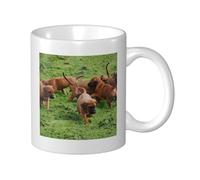 Cozimangoe Coffee Mug, 11OZ White Ceramic Resistant Durable Glossy for Women Men Mothers Day Gift Offices Home, Personalized Rhodesian Ridgebacks Dogs Puppies Pets Family