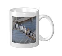 Cozimangoe Coffee Mug, 11OZ White Ceramic Resistant Durable Glossy for Women Men Mothers Day Gift Offices Home, Personalized Dogs Border Collie Shetland Sheepdogs Alaskan