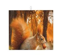 Cozimangoe Cute Squirrel Eating Nuts, Dish Drying Mat, 18x16 Inch Absorbent Microfiber Quick Dry Machine Washable for Dishes Pots Pans Glassware Coffee Bar Under Rack