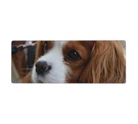 Cozimangoe Desk Mat, Large Mouse Pad Anti-Slip Waterproof Smooth Surface for Durable Stitched, Computer Desk Office Home, Personalized Cute Cavalier King Charles Spaniel
