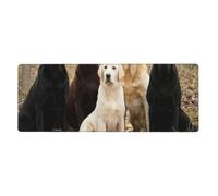 Cozimangoe Desk Mat, Large Mouse Pad Anti-Slip Waterproof Smooth Surface for Durable Stitched, Computer Desk Office Home, Personalized Labrador Retrievers Dogs Black Golden White Brown