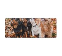 Cozimangoe Desk Mat, Large Mouse Pad Anti-Slip Waterproof Smooth Surface for Durable Stitched, Computer Desk Office Home, Personalized Cavalier King Charles Spaniel Autumn Puppies