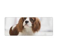 Cozimangoe Desk Mat, Large Mouse Pad Anti-Slip Waterproof Smooth Surface for Durable Stitched, Computer Desk Office Home, Personalized Cavalier King Charles Spaniel Brown Spaniel