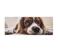 Cozimangoe Desk Mat, Large Mouse Pad Anti-Slip Waterproof Smooth Surface for Durable Stitched, Computer Desk Office Home, Personalized Cavalier King Charles Spaniel Cute Dogs Pets