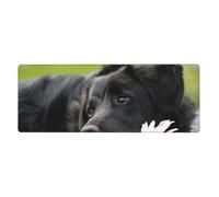 Cozimangoe Desk Mat, Large Mouse Pad Anti-Slip Waterproof Smooth Surface for Durable Stitched, Computer Desk Office Home, Personalized Black Labrador Chamomile Black Retriever Dogs