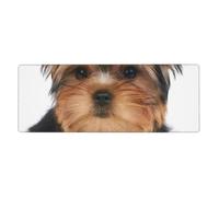 Cozimangoe Desk Mat, Large Mouse Pad Anti-Slip Waterproof Smooth Surface for Durable Stitched, Computer Desk Office Home, Personalized Yorkshire Terrier Lies On White
