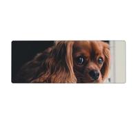 Cozimangoe Desk Mat, Large Mouse Pad Anti-Slip Waterproof Smooth Surface for Durable Stitched, Computer Desk Office Home, Personalized Ruby Cavalier King Charles Spaniel Puppy Dog