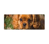 Cozimangoe Desk Mat, Large Mouse Pad Anti-Slip Waterproof Smooth Surface for Durable Stitched, Computer Desk Office Home, Personalized Cavalier King Charles Spaniel Brown Curly Dogs