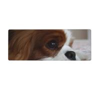 Cozimangoe Desk Mat, Large Mouse Pad Anti-Slip Waterproof Smooth Surface for Durable Stitched, Computer Desk Office Home, Personalized Cavalier King Charles Spaniel Pets Puppy Dogs