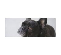 Cozimangoe Desk Mat, Large Mouse Pad Anti-Slip Waterproof Smooth Surface for Durable Stitched, Computer Desk Office Home, Personalized Sweet Pet Cute Black French Bulldog Puppy