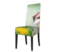 Cozimangoe Dining Chair Covers, High Stretch Removable Seat Covers,Stain Resistant Protective Slipcovers for Dining Room Kitchen Hotel Banquet, Shih Tzu Little Cute Dogs Curly Puppy Pets Field