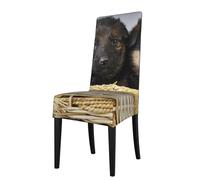 Cozimangoe Dining Chair Covers, High Stretch Removable Seat Covers,Stain Resistant Protective Slipcovers for Dining Room Kitchen Hotel Banquet, Little German Shepherd Dog Printed