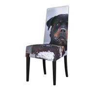 Cozimangoe Dining Chair Covers, High Stretch Removable Seat Covers,Stain Resistant Protective Slipcovers for Dining Room Kitchen Hotel Banquet, Rottweiler Dog Snow Collar Eyes
