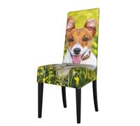 Cozimangoe Dining Chair Covers, High Stretch Removable Seat Covers, Stain Resistant Protective Slipcovers for Dining Room Kitchen Hotel Banquet, Jack Russell Flower Meadow