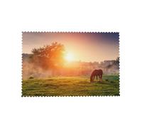 Cozimangoe Horse At Dusk, Placemats 4 Set, 12x18 Inch Heat Resistant Washable Place Mats for Table Scalloped Edges Decorative, Kitchen Dining Wedding