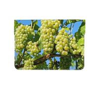 Cozimangoe Laptop Sleeve, 13-14 Inch PU Leather Computer Sleeve Bag, Water-Resistant Laptop Case Protective, School Office Travel, Grapes Fruit Vine Grapevine Winegrowing
