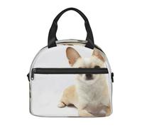 Cozimangoe Lunch Bag, Insulated Adjustable Strap Cooler Bag Multiple Pockets Lunch Organizer for Work Office Picnic Beach, Personalized Chihuahua Isolated Animals Wildlife Purebred Mammal
