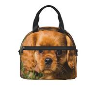 Cozimangoe Lunch Bag, Insulated Adjustable Strap Cooler Bag Multiple Pockets Lunch Organizer for Work Office Picnic Beach, Personalized Cavalier King Charles Spaniel Brown Curly Dogs
