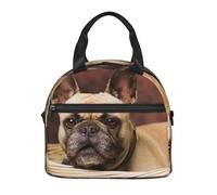 Cozimangoe Lunch Bag, Insulated Adjustable Strap Cooler Bag Multiple Pockets Lunch Organizer for Work Office Picnic Beach, Personalized French Bulldogs Mall Puppy Brown Little Dogs