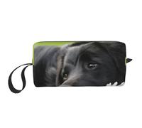 Cozimangoe Makeup Bag, Cosmetic Bag for Padded Travel Pouch Zippered Handle Multi-Purpose Small, School Work Trip Home Storage, Personalized Black Labrador Chamomile Black Retriever Dogs